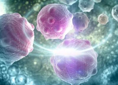 درمان آلزایمر با کشف سلول گلیال