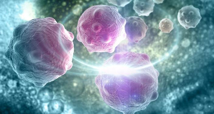 درمان آلزایمر با کشف سلول گلیال