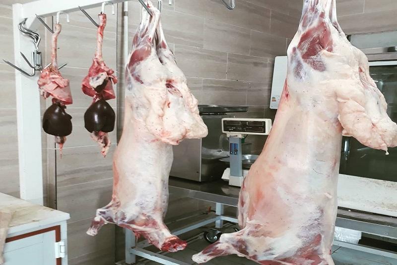 تمامی چنگک های قصابی محدوده شهر شباب، برش و جمع آوری شد
