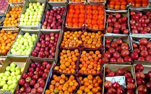 مصوبه ستاد تنظیم برای برای تامین میوه شب عید