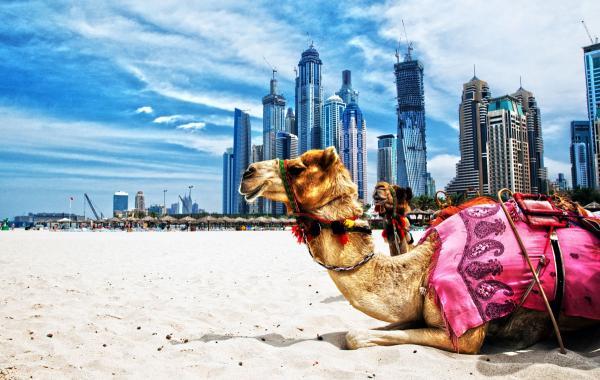 برنامه ریزی برای لذت بردن از سفر به دوبی در تعطیلات