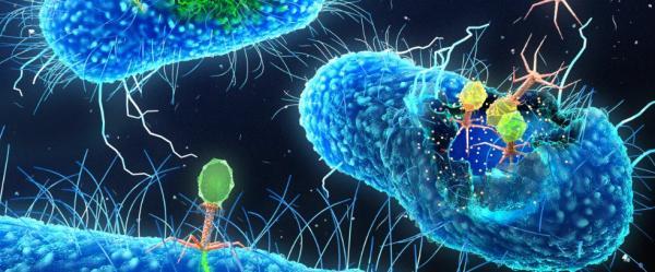 دانشمندان سلول های مصنوعی زنده مونتاژ کردند، با استفاده از قطعات باکتری ها